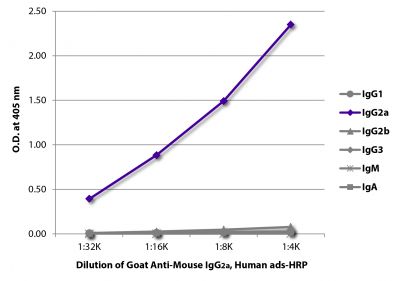 ELISA plate was coated with purified mouse IgG<sub>1</sub>, IgG<sub>2a</sub>, IgG<sub>2b</sub>, IgG<sub>3</sub>, IgM, and IgA.  Immunoglobulins were detected with serially diluted Goat Anti-Mouse IgG<sub>2a</sub>, Human ads-HRP (SB Cat. No. 1080-05).