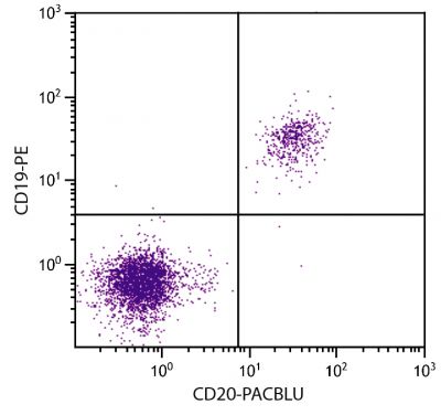 Human peripheral blood lymphocytes were stained with Mouse Anti-Human CD20-PACBLU (SB Cat. No. 9350-26) and Mouse Anti-Human CD19-PE (SB Cat. No. 9340-09).