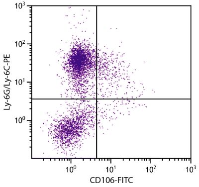 C57BL/6 mouse bone marrow cells were stained with Rat Anti-Mouse CD106-FITC (SB Cat. 1510-02) and Rat Anti-Mouse Ly-6G/Ly-6C-PE (SB Cat. No. 1900-09).