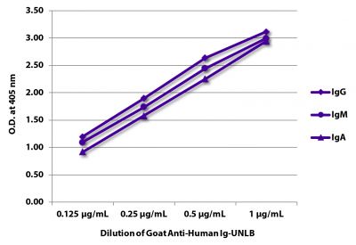 ELISA plate was coated with purified human IgG, IgM, and IgA.  Immunoglobulins were detected with serially diluted Goat Anti-Human Ig-UNLB (SB Cat. No. 2010-01) followed by Swine Anti-Goat IgG(H+L), Human/Rat/Mouse SP ads-HRP (SB Cat. No. 6300-05).