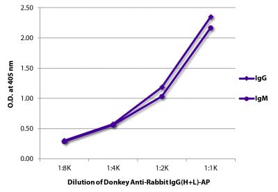 ELISA plate was coated with purified rabbit IgG and IgM.  Immunoglobulins were detected with serially diluted Donkey Anti-Rabbit IgG(H+L)-AP (SB Cat. No. 6441-04).