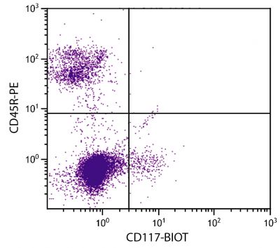 C57BL/6 mouse bone marrow cells were stained with Rat Anti-Mouse CD117-BIOT (SB Cat. No. 1880-08) and Rat Anti-Mouse CD45R-PE (SB Cat. No. 1665-09) followed by Streptavidin-FITC (SB Cat. No. 7100-02).