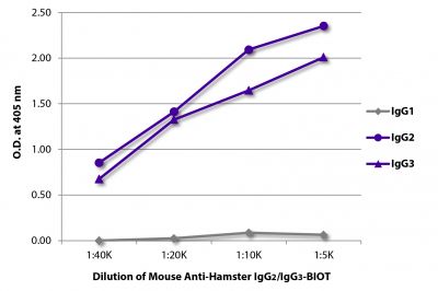 ELISA plate was coated with purified hamster IgG<sub>1</sub>, IgG<sub>2</sub>, and IgG<sub>3</sub>.  Immunoglobulins were detected with serially diluted Mouse Anti-Hamster IgG<sub>2</sub>/IgG<sub>3</sub>-BIOT (SB Cat. No. 1935-08) followed by Streptavidin-HRP (SB Cat. No. 7100-05).
