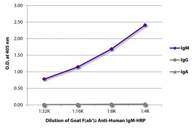 ELISA plate was coated with purified human IgM, IgG, and IgA.  Immunoglobulins were detected with serially diluted Goat F(ab')<sub>2</sub> Anti-Human IgM-HRP (SB Cat. No. 2022-05).