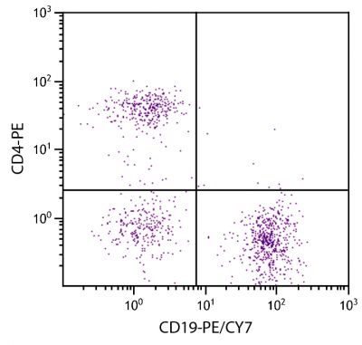 C57BL/6 mouse splenocytes were stained with Rat Anti-Mouse CD19-PE/CY7 (SB Cat. No. 1575-17) and Rat Anti-Mouse CD4-PE (SB Cat. No. 1540-09).