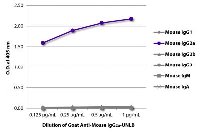 ELISA plate was coated with purified mouse IgG<sub>1</sub>, IgG<sub>2a</sub>, IgG<sub>2b</sub>, IgG<sub>3</sub>, IgM, and IgA.  Immunoglobulins were detected with serially diluted Goat Anti-Mouse IgG<sub>2a</sub>-UNLB (SB Cat. No. 1081-01) followed by Mouse Anti-Goat IgG Fc-HRP (SB Cat. No. 6158-05).