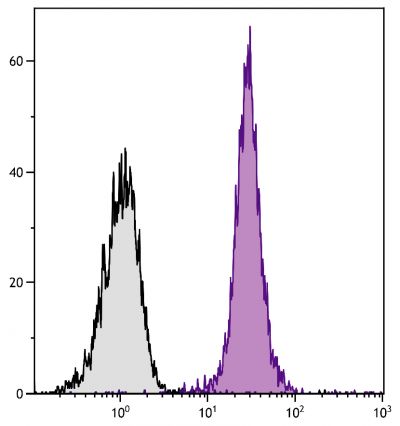 BALB/c mouse splenocytes were stained with Mouse Anti-Mouse CD45.2-PE (SB Cat. No. 1800-09).