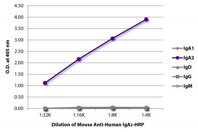 ELISA plate was coated with purified human IgA<sub>1</sub>, IgA<sub>2</sub>, IgD, IgG, and IgM.  Immunoglobulins were detected with serially diluted Mouse Anti-Human IgA<sub>2</sub>-HRP (SB Cat. No. 9140-05).