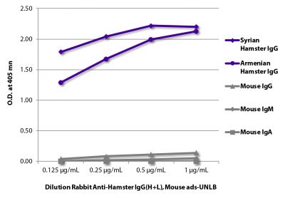 ELISA plate was coated with purified Syrian hamster IgG, Armenian hamster IgG, and mouse IgG, IgM, and IgA.  Immunoglobulins were detected with Rabbit Anti-Hamster IgG(H+L), Mouse ads-UNLB (SB Cat. No. 6211-01) followed by Goat Anti-Rabbit IgG(H+L), Mouse/Human ads-HRP (SB Cat. No. 4050-05).