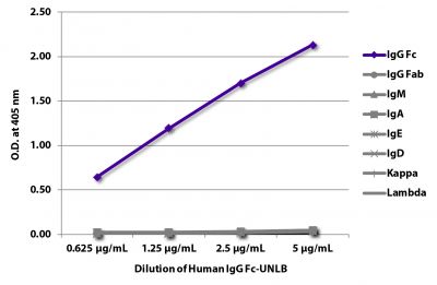 ELISA plate was coated with serially diluted Human IgG Fc-UNLB (SB Cat. No. 0160-01).  Immunoglobulin was detected with Goat Anti-Human IgG Fc-BIOT (SB Cat. No. 2048-08), Goat Anti-Human Ig Fab-BIOT (SB Cat. No. 2085-08), Mouse Anti-Human IgM-BIOT (SB Cat. No. 9020-08), Mouse Anti-Human IgA<sub>1</sub>-BIOT and Mouse Anti-Human IgA<sub>2</sub>-BIOT (SB Cat. No. 9130-08 and Cat. No. 9140-08), Mouse Anti-Human IgE Fc-BIOT (SB Cat. No. 9160-08), Mouse Anti-Human IgD-BIOT (SB Cat. No. 9030-08), Mouse Anti-Human Kappa-BIOT (SB Cat. No. 9230-08), and Mouse Anti-Human Lambda-BIOT (SB Cat. No. 9180-08) followed by Streptavidin-HRP (SB Cat No. 7100-05) and quantified.