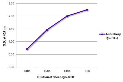 ELISA plate was coated with Rabbit Anti-Sheep IgG(H+L)-UNLB (SB Cat. No. 6150-01).  Serially diluted Sheep IgG-BIOT (SB Cat. No. 0133-08) was captured followed by Streptavidin-HRP (SB Cat. No. 7100-05) and quantified.