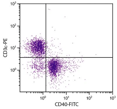 BALB/c mouse splenocytes were stained with Rat Anti-Mouse CD40-FITC (SB Cat. No. 1645-02) and Rat Anti-Mouse CD3ε-PE (SB Cat. No. 1535-09).