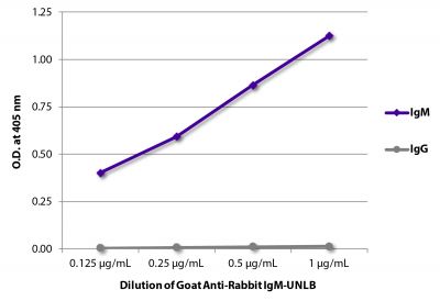 Immuno Gold Rabbit-anti-Chicken, IgG