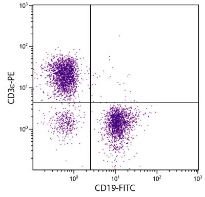 BALB/c mouse splenocytes were stained with Mouse Anti-Mouse CD19-FITC (SB Cat. No. 1576-02) and Rat Anti-Mouse CD3ε-PE (SB Cat. No. 1535-09).