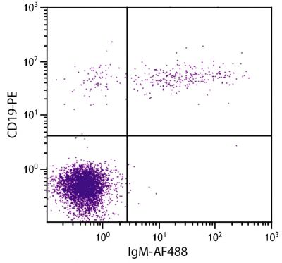 Human peripheral blood lymphocytes were stained with Mouse Anti-Human IgM-AF488 (SB Cat. No. 9020-30) and Mouse Anti- Human CD19-PE (SB Cat. No. 9340-09).