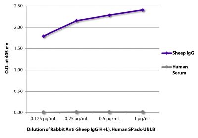 ELISA plate was coated with purified sheep IgG and human serum.  Immunoglobulin and serum were detected with Rabbit Anti-Sheep IgG(H+L), Human SP ads-UNLB (SB Cat. No. 6156-01) followed by Goat Anti-Rabbit IgG(H+L), Mouse/Human ads-HRP (SB Cat. No. 4050-05).