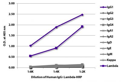 ELISA plate was coated with Mouse Anti-Human IgG<sub>1</sub> Hinge-UNLB (SB Cat. No. 9052-01), Mouse Anti-Human IgG<sub>2</sub> Fc-UNLB (SB Cat. No. 9060-01), Mouse Anti-Human IgG<sub>3</sub> Hinge-UNLB (SB Cat. No. 9210-01), Mouse Anti-Human IgG<sub>4</sub> pFc'-UNLB (SB Cat. No. 9190-01), Mouse Anti-Human IgA<sub>1</sub>-BIOT (SB Cat. No. 9130-01), Mouse Anti-Human IgA<sub>2</sub>-UNLB (SB Cat. No. 9140-01),  Mouse Anti-Human IgD-UNLB (SB Cat. No. 9030-01), Mouse Anti-Human IgE Fc-UNLB (SB Cat. No. 9160-01), Mouse Anti-Human IgM-UNLB (SB Cat. No. 9020-01), Mouse Anti-Human Kappa-UNLB (SB Cat. No. 9230-01), and Mouse Anti-Human Lambda-UNLB (SB Cat. No. 9180-01).  Serially diluted Human IgG<sub>1</sub> Lambda-HRP (SB Cat. No. 0151L-05) was captured and quantified.