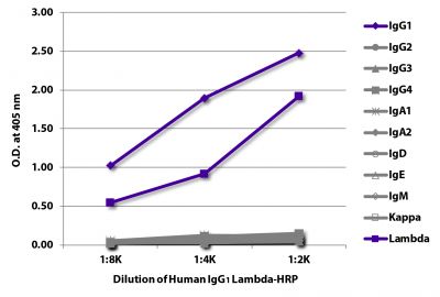 ELISA plate was coated with Mouse Anti-Human IgG<sub>1</sub> Hinge-UNLB (SB Cat. No. 9052-01), Mouse Anti-Human IgG<sub>2</sub> Fc-UNLB (SB Cat. No. 9060-01), Mouse Anti-Human IgG<sub>3</sub> Hinge-UNLB (SB Cat. No. 9210-01), Mouse Anti-Human IgG<sub>4</sub> pFc'-UNLB (SB Cat. No. 9190-01), Mouse Anti-Human IgA<sub>1</sub>-BIOT (SB Cat. No. 9130-01), Mouse Anti-Human IgA<sub>2</sub>-UNLB (SB Cat. No. 9140-01),  Mouse Anti-Human IgD-UNLB (SB Cat. No. 9030-01), Mouse Anti-Human IgE Fc-UNLB (SB Cat. No. 9160-01), Mouse Anti-Human IgM-UNLB (SB Cat. No. 9020-01), Mouse Anti-Human Kappa-UNLB (SB Cat. No. 9230-01), and Mouse Anti-Human Lambda-UNLB (SB Cat. No. 9180-01).  Serially diluted Human IgG<sub>1</sub> Lambda-HRP (SB Cat. No. 0151L-05) was captured and quantified.