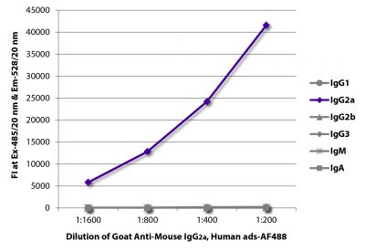 FLISA plate was coated with purified mouse IgG<sub>1</sub>, IgG<sub>2a</sub>, IgG<sub>2b</sub>, IgG<sub>3</sub>, IgM, and IgA.  Immunoglobulins were detected with serially diluted Goat Anti-Mouse IgG<sub>2a</sub>, Human ads-AF488 (SB Cat. No. 1080-30).