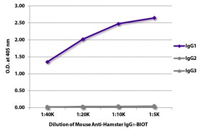 ELISA plate was coated with purified hamster IgG<sub>1</sub>, IgG<sub>2</sub>, and IgG<sub>3</sub>.  Immunoglobulins were detected with serially diluted Mouse Anti-Hamster IgG<sub>1</sub>-BIOT (SB Cat. No. 1940-08) followed by Streptavidin-HRP (SB Cat. No. 7100-05).