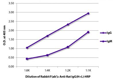 ELISA plate was coated with purified rat IgG and IgM.  Immunoglobulins were detected with serially diluted Rabbit F(ab')<sub>2</sub> Anti-Rat IgG(H+L)-HRP (SB Cat. No. 6130-05).