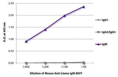 ELISA plate was coated with purified llama IgG<sub>1</sub>, IgG<sub>2</sub>/IgG<sub>3</sub>, and IgM.  Immunoglobulins were detected with serially diluted Mouse Anti-Llama IgM-BIOT (SB Cat. No. 5820-08) followed by Streptavidin-HRP (SB Cat. No. 7105-05).