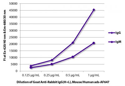 FLISA plate was coated with purified rabbit IgG and IgM.  Immunoglobulins were detected with serially diluted Goat Anti-Rabbit IgG(H+L), Mouse/Human ads-AF647 (SB Cat. No. 4050-31).