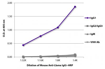 ELISA plate was coated with purified llama IgG<sub>1</sub>, IgG<sub>2</sub>/IgG<sub>3</sub>,  IgM, and a VHH antibody.  Immunoglobulins were detected with Mouse Anti-Llama IgG<sub>1</sub>-HRP (SB Cat. No. 5870-05).
