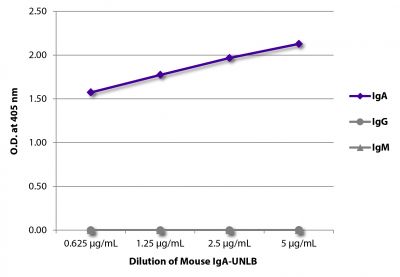 ELISA plate was coated with serially diluted Mouse IgA-UNLB (SB Cat. No. 0106-01).  Immunoglobulin was detected with Goat Anti-Mouse IgG, Human ads-BIOT (SB Cat. No. 1030-08), Goat Anti-Mouse IgA-BIOT (SB Cat. No. 1040-08), and Goat Anti-Mouse IgM, Human ads-BIOT (SB Cat. No. 1020-08) followed by Streptavidin-HRP (SB Cat No. 7100-05) and quantified.