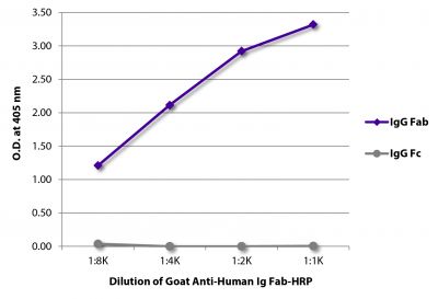 ELISA plate was coated with purified human IgG Fab and IgG Fc.  Immunoglobulins were detected with serially diluted Goat Anti-Human Ig Fab-HRP (SB Cat. No. 2085-05).