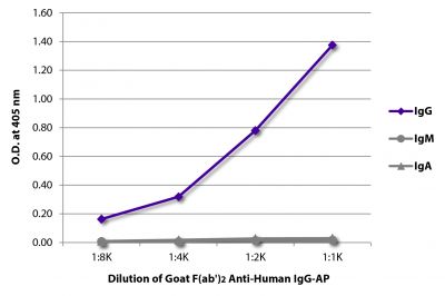 ELISA plate was coated with purified human IgG, IgM, and IgA.  Immunoglobulins were detected with serially diluted Goat F(ab')<sub>2</sub> Anti-Human IgG-AP (SB Cat. No. 2042-04).