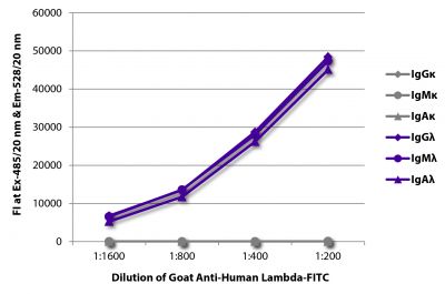 FLISA plate was coated with purified human IgGκ, IgMκ, IgAκ, IgGλ, IgMλ, and IgAλ.  Immunoglobulins were detected with serially diluted Goat Anti-Human Lambda-FITC (SB Cat. No. 2070-02).