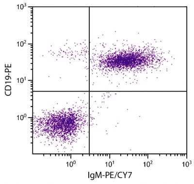 BALB/c mouse splenocytes were stained with Rat Anti-Mouse IgM-PE/CY7 (SB Cat. No. 1140-17) and Rat Anti-Mouse CD19-PE (SB Cat. No. 1575-09).