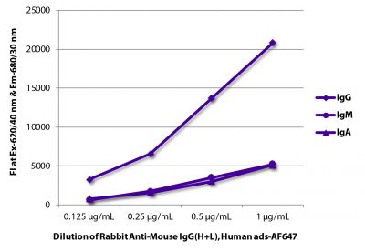 FLISA plate was coated with purified mouse IgG, IgM, and IgA.  Immunoglobulins were detected with Rabbit Anti-Mouse IgG(H+L), Human ads-AF647 (SB Cat. No. 6175-31).