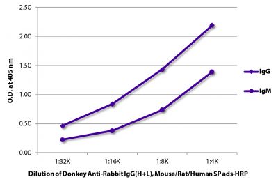 ELISA plate was coated with purified rabbit IgG and IgM.  Immunoglobulins were detected with serially diluted Donkey Anti-Rabbit IgG(H+L), Mouse/Rat/Human SP ads-HRP (SB Cat. No. 6440-05).