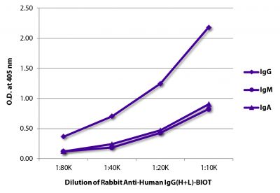 ELISA plate was coated with purified human IgG, IgM, and IgA.  Immunoglobulins were detected with Rabbit Anti-Human IgG(H+L)-BIOT (SB Cat. No. 6140-08) followed by Streptavidin-HRP (SB Cat. No. 7100-05).