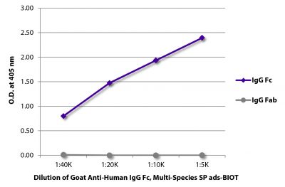 ELISA plate was coated with purified human IgG Fc and IgG Fab.  Immunoglobulins were detected with serially diluted Goat Anti-Human IgG Fc, Multi-Species SP ads-BIOT (SB Cat. No. 2014-08) followed by Streptavidin-HRP (SB Cat. No. 7100-05).