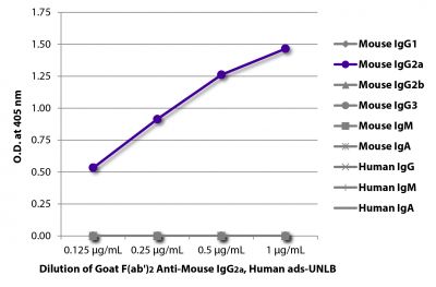 ELISA plate was coated with purified mouse IgG<sub>1</sub>, IgG<sub>2a</sub>, IgG<sub>2b</sub>, IgG<sub>3</sub>, IgM, and IgA and human IgG, IgM, and IgA.  Immunoglobulins were detected with serially diluted Goat F(ab')<sub>2</sub> Anti-Mouse IgG<sub>2a</sub>, Human ads-UNLB (SB Cat. No. 1082-01) followed by a Mouse Anti-Goat IgG(H+L) secondary antibody conjugated to HRP.