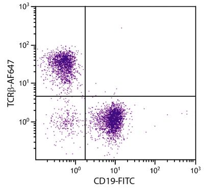 C57BL/6 mouse splenocytes were stained with Hamster Anti-Mouse TCRβ-AF647 (SB Cat. No. 1785-31) and Rat Anti-Mouse CD19-FITC (SB Cat. No. 1575-02).