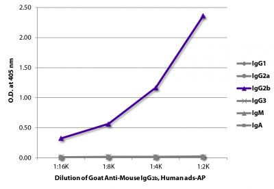 ELISA plate was coated with purified mouse IgG<sub>1</sub>, IgG<sub>2a</sub>, IgG<sub>2b</sub>, IgG<sub>3</sub>, IgM, and IgA.  Immunoglobulins were detected with serially diluted Goat Anti-Mouse IgG<sub>2b</sub>, Human ads-AP (SB Cat. No. 1090-04).