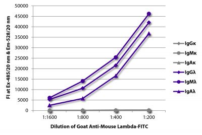 FLISA plate was coated with purified mouse IgGκ, IgMκ, IgAκ, IgGλ, IgMλ, and IgAλ.  Immunoglobulins were detected with serially diluted Goat Anti-Mouse Lambda-FITC (SB Cat. No. 1060-02).