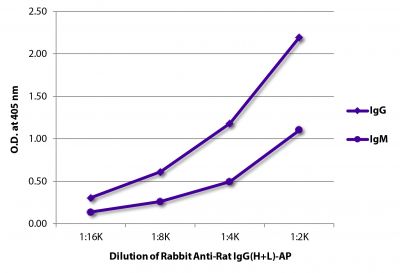 ELISA plate was coated with purified rat IgG and IgM.  Immunoglobulins were detected with Rabbit Anti-Rat IgG(H+L)-AP (SB Cat. No. 6180-04).