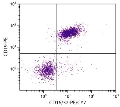 BALB/c mouse splenocytes were stained with Rat Anti-Mouse CD16/32-PE/CY7 (SB Cat. No. 1630-17) and Rat Anti-Mouse CD19-PE (SB Cat. No. 1575-09).