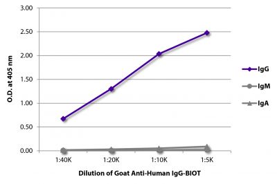 ELISA plate was coated with purified human IgG, IgM, and IgA.  Immunoglobulins were detected with serially diluted Goat Anti-Human IgG-BIOT (SB Cat. No. 2040-08) followed by Streptavidin-HRP (SB Cat. No. 7100-05).