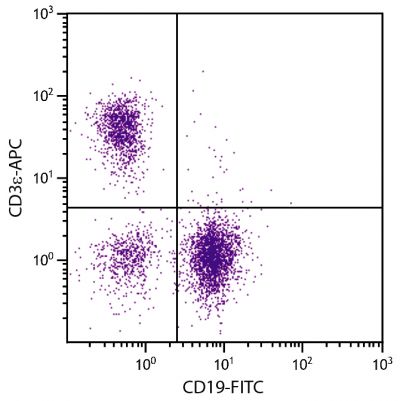 BALB/c mouse splenocytes were stained with Hamster Anti-Mouse CD3ε-APC (SB Cat. No. 1530-11) and Rat Anti-Mouse CD19-FITC (SB Cat. No. 1575-02).