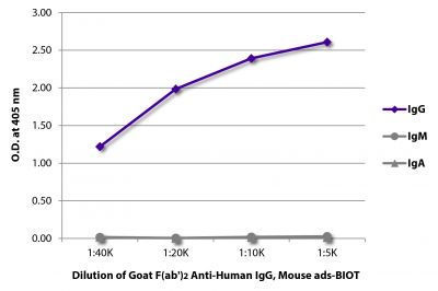 ELISA plate was coated with purified human IgG, IgM, and IgA.  Immunoglobulins were detected with serially diluted Goat F(ab')<sub>2</sub> Anti-Human IgG, Mouse ads-BIOT (SB Cat. No. 2043-08) followed by Streptavidin-HRP (SB Cat. No. 7100-05).