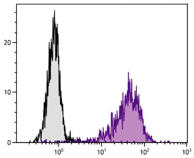 TNFα stimulated human endothelial cell line HUV-EC-C was stained with Mouse Anti-Human CD106-PE (SB Cat. No. 9510-09).