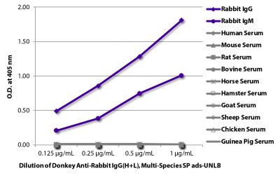 ELISA plate was coated with purified rabbit IgG and IgM and human, mouse, rat, bovine, horse, hamster, goat, sheep, chicken, and guinea pig serum.  Immunoglobulins and sera were detected with serially diluted Donkey Anti-Rabbit IgG(H+L), Multi-Species SP ads-UNLB (SB Cat. No. 6442-01) followed by Goat Anti-Equine IgG(H+L)-HRP (SB Cat. No. 6040-05).