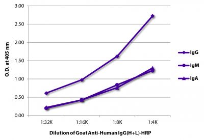 ELISA plate was coated with purified human IgG, IgM, and IgA.  Immunoglobulins were detected with serially diluted Goat Anti-Human IgG(H+L)-HRP (SB Cat. No. 2015-05).