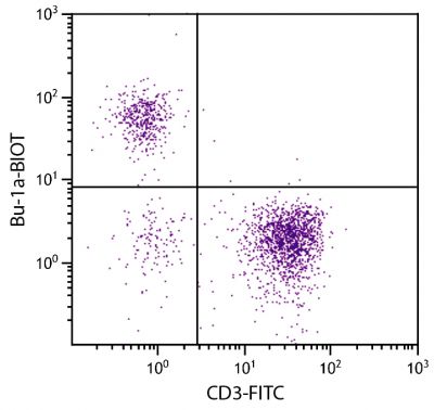 Chicken peripheral blood lymphocytes were stained with Mouse Anti-Chicken Bu-1a-BIOT (SB Cat. No. 8365-08) and Mouse Anti-Chicken CD3-FITC (SB Cat. No. 8200-02) followed by Streptavidin-PE (SB Cat. No. 7100-09).